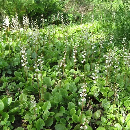 Ξενοδοχείο Moehkoen Rajakartano - Ilomantsi Petkeljarvi