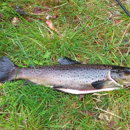 Moehkoen Rajakartano - Ilomantsi Petkeljarvi