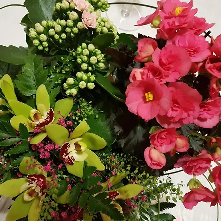 Ξενοδοχείο Moehkoen Rajakartano - Ilomantsi Petkeljarvi