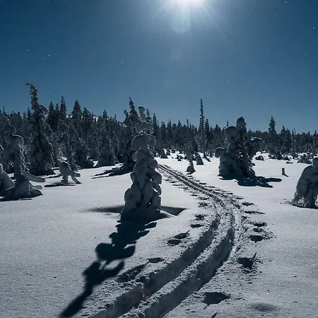 Hotel Moehkoen Rajakartano - Ilomantsi 3*